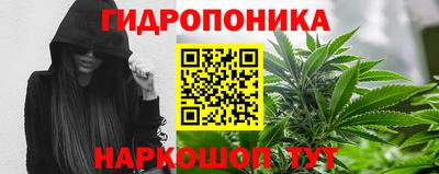 соль ск Тара