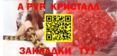 шишки Апшеронск