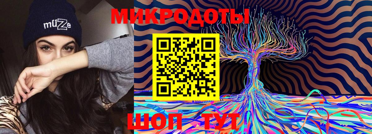 Псилоцибиновые грибы Psilocybe Череповец