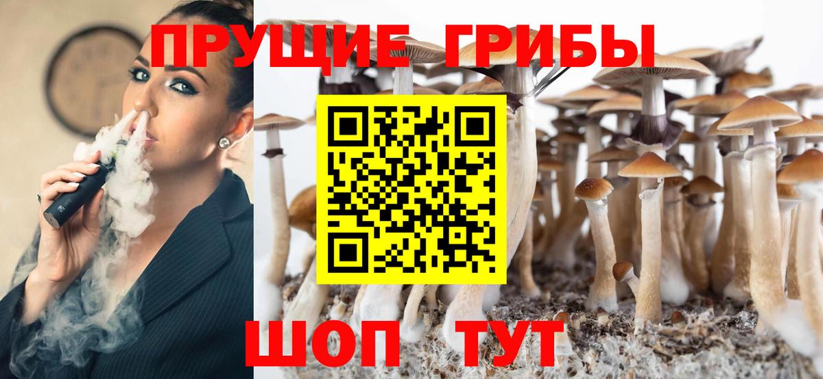 Череповец  Псилоцибиновые грибы Psilocybine cubensis  Галлюциногенные грибы GOLDEN TEACHER  Вход с VPN 