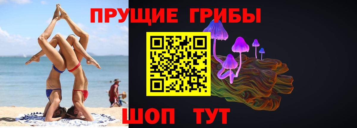 Псилоцибиновые грибы мицелий Череповец